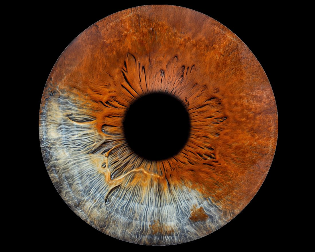 A poet's eye — the iris, from American Poet